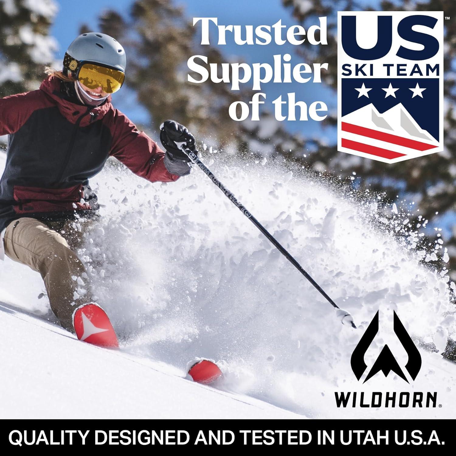 imageWildhorn Roca Ski Goggles Men Women AntiFogScratch 100 UVMagnetic LensSnowboard Snow Goggles Men Women AdultMoab Amber